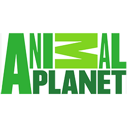 Animal Planet HD