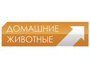 Domashnie Zhivotnye